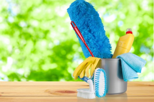 Local pet stain and odour treatment for carpets in TW9 homes