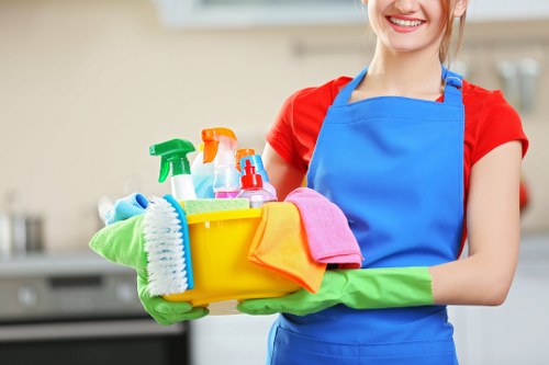 One off cleaning service for a TW9 home interior refresh