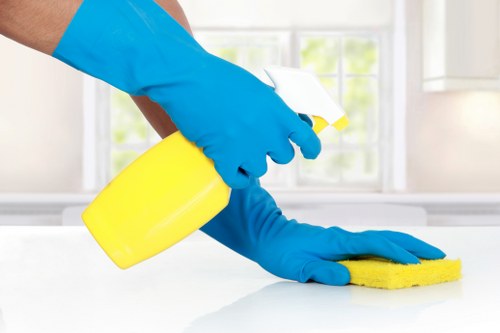 Professional window cleaning for a local TW9 home exterior
