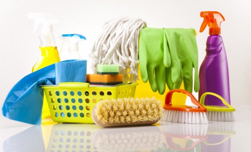 Cleaning service for lingering pet smells and stains in TW9 properties