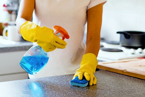 Deep cleaning tasks in a TW9 property kitchen and bathroom