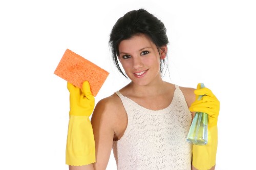 Professional upholstery cleaning for a sofa in a TW9 home