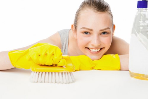 Screen-reader friendly carpet cleaning information for TW9
