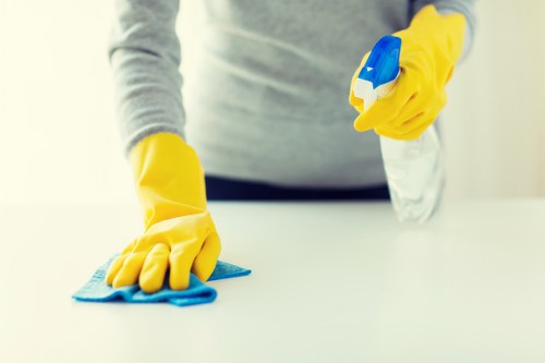 Ongoing cleaning schedule for a TW9 home or office