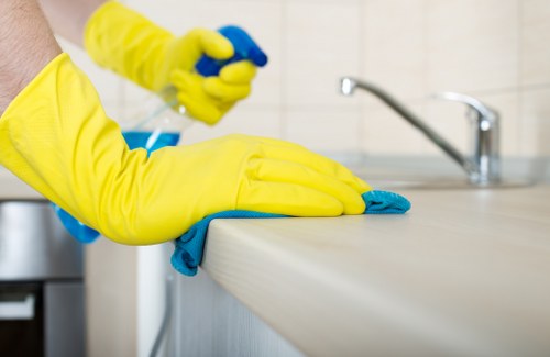 Deep cleaning service for a TW9 family home