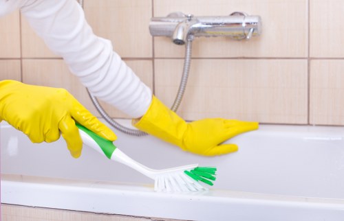 Accessibility request section for Carpet Cleaners TW9