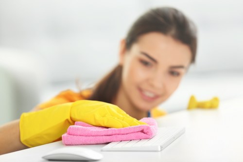 Hard floor cleaning preparation and care in a TW9 property