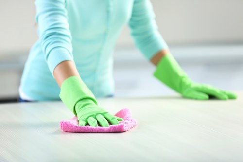 Local carpet cleaning team in TW9 performing careful deep cleaning