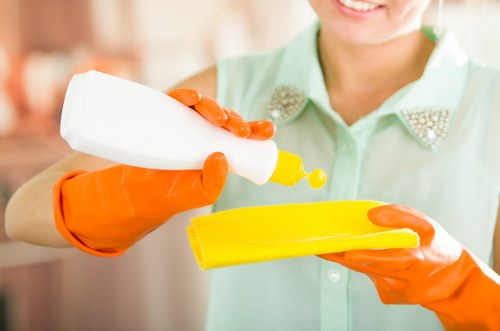 Pet stain treatment for flats and homes in Richmond and TW9