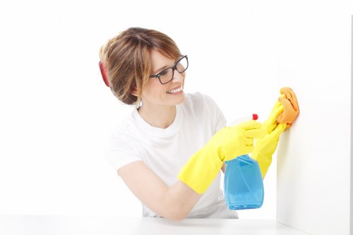 Mattress cleaning for rental and guest accommodation in TW9