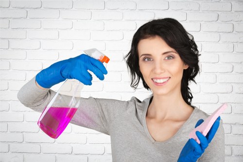 Cleaning a residential facade in the TW9 area