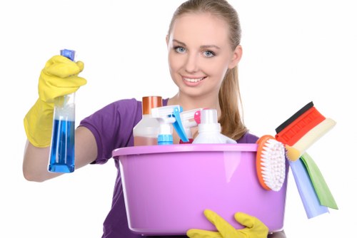 Domestic and commercial regular cleaning in TW9