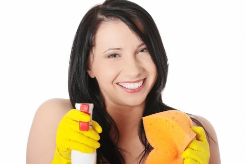 Local carpet cleaning service working in a Richmond property