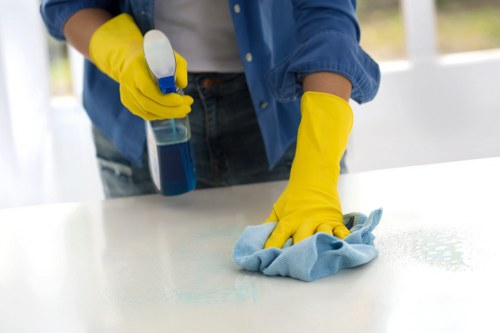 Stain and odour treatment for sofas in TW9 properties